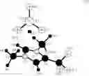 Fig. 06 - Electrolytic solution for electrochemical element, method of searching for the same, method of producing the same, and electrochemical element
