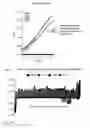 Fig. 12 - Database of electronically profiled cells and methods for generating and using same