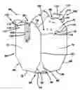 Fig. 01 - Structure for holding either a cylindrical or square shaped container during a mixing operation