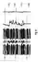 Fig. 07 - Method for improving the time-depth tie of well log data and seismic data
