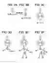 Fig. 04 - Methods and devices for discovering the topology of large multi-subnet LANs