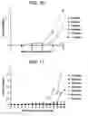 Fig. 11 - Methods and devices for discovering the topology of large multi-subnet LANs
