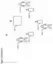 Fig. 02 - Synchronizing information across telecommunications terminals for multiple users