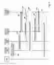 Fig. 04 - Identifying network resources for packet-switched services