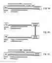 Fig. 06 - Identifying network resources for packet-switched services