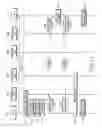Fig. 12 - Method and apparatus for notifying changed service information according to terminal state in a wireless communication system