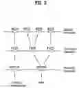 Fig. 04 - Method and apparatus for transmitting/receiving MBMS transport blocks