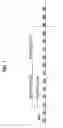 Fig. 05 - Method and apparatus for transmitting/receiving MBMS transport blocks
