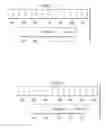Fig. 02 - Rapid I/O Compliant Message Mapper