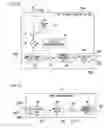 Fig. 13 - Receiving method and receiver