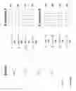 Fig. 06 - Frequency comparator utilizing enveloping-event detection via symbolic dynamics of fixed or modulated waveforms