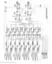 Fig. 07 - Single-VCO CDR for TMDS data at gigabit rate