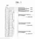 Fig. 07 - Selection of coefficients for quantization processing based on whether an original image is a still image or a moving image
