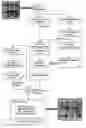 Fig. 01 - Segmentation and data mining for gel electrophoresis images
