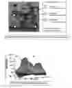Fig. 11 - Segmentation and data mining for gel electrophoresis images