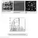 Fig. 16 - Segmentation and data mining for gel electrophoresis images