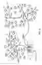 Fig. 04 - Loop back plug and method