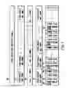 Fig. 08 - Information recording method, information recording medium, and information reproducing method, wherein information is stored on a data recording portion and a management information recording portion