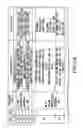 Fig. 12 - Information recording method, information recording medium, and information reproducing method, wherein information is stored on a data recording portion and a management information recording portion