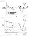 Fig. 05 - Annular-type distributor with improved flow uniformity
