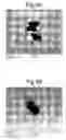 Fig. 04 - Nanoparticles of calcium phosphate compound, dispersion liquid thereof and method of production thereof