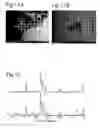 Fig. 08 - Nanoparticles of calcium phosphate compound, dispersion liquid thereof and method of production thereof