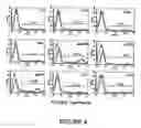 Fig. 05 - Method for the in vitro assessment of the progression status of an infection by an hiv virus in an individual