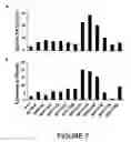 Fig. 08 - Method for the in vitro assessment of the progression status of an infection by an hiv virus in an individual