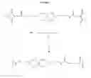 Fig. 02 - Biodegradable polyacetals and methods