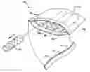 Fig. 01 - Oral Hygiene System and Method of Treatment