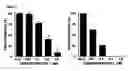 Fig. 02 - Compositions and methods to treat skin diseases characterized by cellular proliferation and angiogenesis