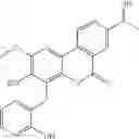Fig. 20 - Compositions and methods to treat skin diseases characterized by cellular proliferation and angiogenesis