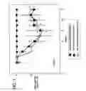 Fig. 02 - Formulation for skin-lightening agents