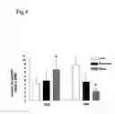 Fig. 05 - Method for modulating HLA class II tumor cell surface expression with a cytokine mixture