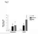 Fig. 06 - Method for modulating HLA class II tumor cell surface expression with a cytokine mixture