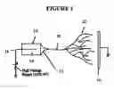 Fig. 02 - Production of tissue engineered digits and limbs