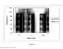 Fig. 06 - Adaptive SOL-GEL immobilization agents for cell delivery