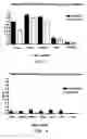 Fig. 13 - Human binding molecule against CD1a