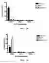 Fig. 17 - Human binding molecule against CD1a