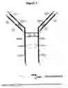 Fig. 02 - Immunoglobulins comprising predominantly a Man5GIcNAc2 glycoform
