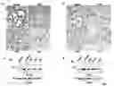 Fig. 03 - Sensitizing cells for apoptosis by selectively blocking cytokines