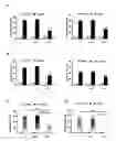 Fig. 11 - Sensitizing cells for apoptosis by selectively blocking cytokines