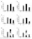 Fig. 13 - Sensitizing cells for apoptosis by selectively blocking cytokines