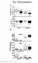 Fig. 43 - Methods for treating and preventing fibrosis