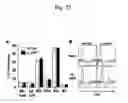 Fig. 44 - Methods for treating and preventing fibrosis