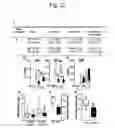Fig. 45 - Methods for treating and preventing fibrosis