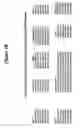 Fig. 04 - Method of treating autoimmune disease by inducing antigen presentation by tolerance inducing antigen presenting cells