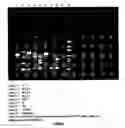 Fig. 02 - Mycoplasma gallisepticum formulation