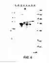 Fig. 09 - Vaccine