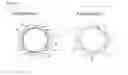 Fig. 02 - Attenuated circovirus